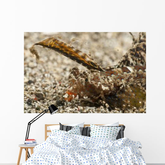 Fingered Dragonet Head Detail Wall Decal