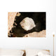 Tiny White Filefish with Wall Decal