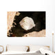 Tiny White Filefish with Wall Decal