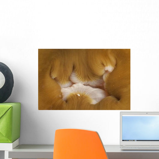Detail Mouth Beige and Wall Decal