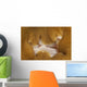Detail Mouth Beige and Wall Decal
