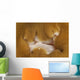 Detail Mouth Beige and Wall Decal