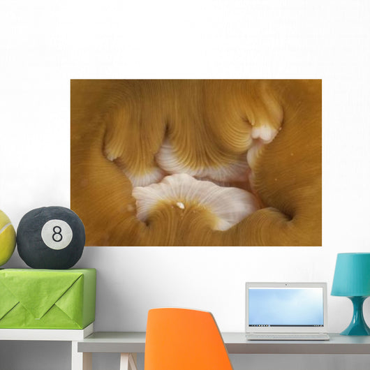 Detail Mouth Beige and Wall Decal