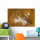 Detail Mouth Beige and Wall Decal