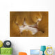 Detail Mouth Beige and Wall Decal