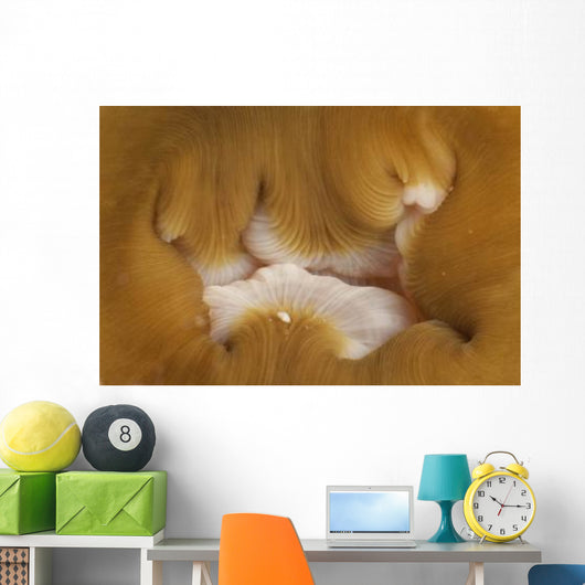 Detail Mouth Beige and Wall Decal
