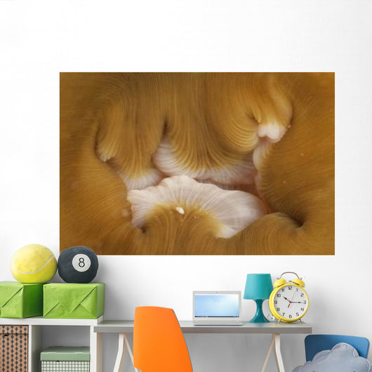 Detail Mouth Beige and Wall Decal