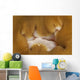 Detail Mouth Beige and Wall Decal
