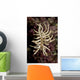 Phyllodesmium Briareum Nudibranch Purple Wall Decal