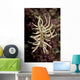 Phyllodesmium Briareum Nudibranch Purple Wall Decal