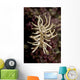 Phyllodesmium Briareum Nudibranch Purple Wall Decal
