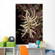 Phyllodesmium Briareum Nudibranch Purple Wall Decal