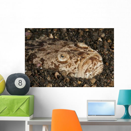 Head Detail Stargazer Lembeh Wall Decal Design 2