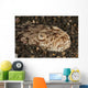 Head Detail Stargazer Lembeh Wall Decal Design 2