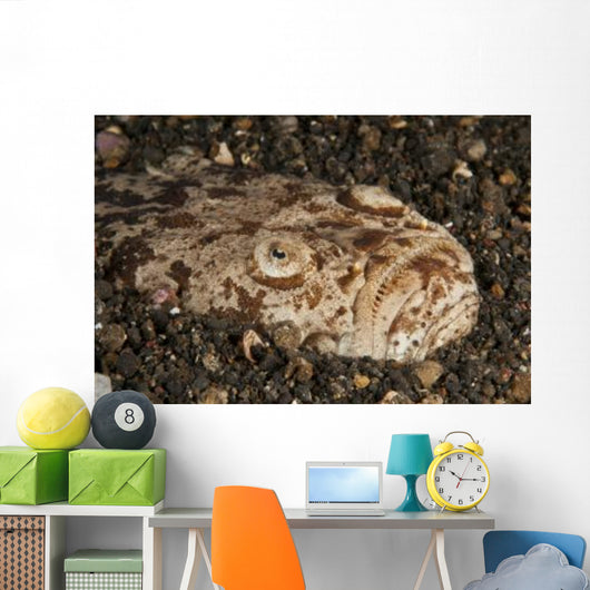 Head Detail Stargazer Lembeh Wall Decal Design 2