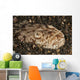 Head Detail Stargazer Lembeh Wall Decal Design 2