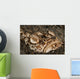 Head Detail Stargazer Lembeh Wall Decal Design 1