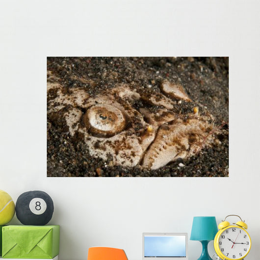 Head Detail Stargazer Lembeh Wall Decal Design 1
