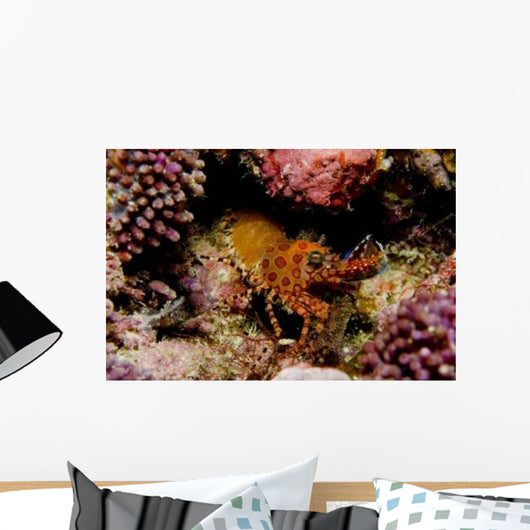 Orange and Red Spotted Wall Decal