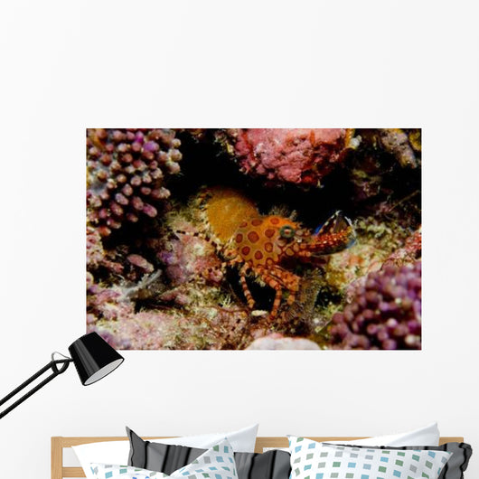 Orange and Red Spotted Wall Decal