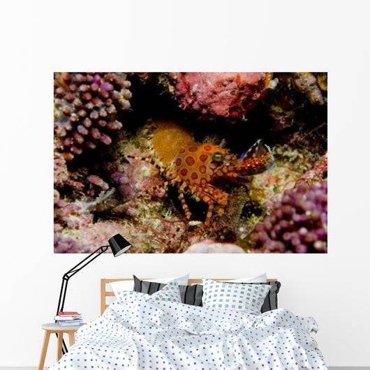 Orange and Red Spotted Wall Decal
