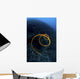 Spiraling Orange Sea Whip Wall Decal