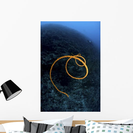 Spiraling Orange Sea Whip Wall Decal
