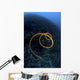 Spiraling Orange Sea Whip Wall Decal