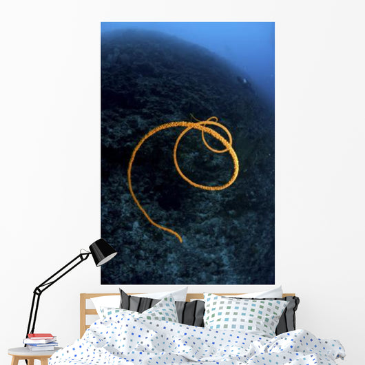 Spiraling Orange Sea Whip Wall Decal