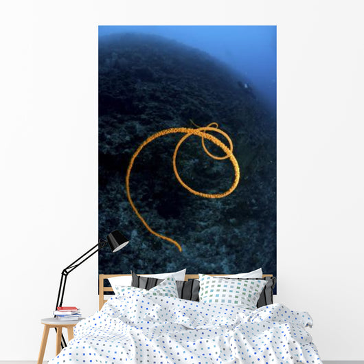 Spiraling Orange Sea Whip Wall Decal