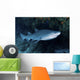 Ragged-tooth Shark under Colorful Wall Decal