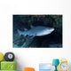 Ragged-tooth Shark under Colorful Wall Decal