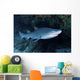 Ragged-tooth Shark under Colorful Wall Decal
