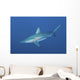Oceanic Blacktip Shark South Left Side Wall Decal