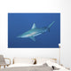 Oceanic Blacktip Shark South Left Side Wall Decal