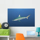 Oceanic Blacktip Shark South Distant Wall Decal