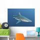 Oceanic Blacktip Shark South Wall Decal