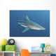 Oceanic Blacktip Shark South Wall Decal