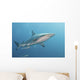 Oceanic Blacktip Shark Right Profile Wall Decal