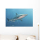 Oceanic Blacktip Shark Right Profile Wall Decal