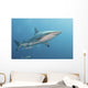 Oceanic Blacktip Shark Right Profile Wall Decal