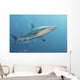 Oceanic Blacktip Shark Right Profile Wall Decal