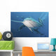 Several Oceanic Blacktip Sharks Wall Decal