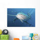 Several Oceanic Blacktip Sharks Wall Decal