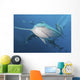 Several Oceanic Blacktip Sharks Wall Decal