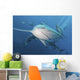 Several Oceanic Blacktip Sharks Wall Decal