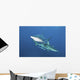 Oceanic Blacktip Sharks Horizontal Wall Decal