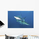 Oceanic Blacktip Sharks Horizontal Wall Decal