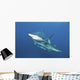 Oceanic Blacktip Sharks Horizontal Wall Decal