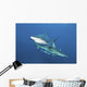 Oceanic Blacktip Sharks Horizontal Wall Decal